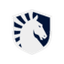 Liquid logo