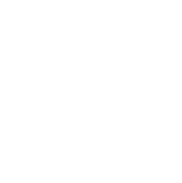 BIG logo
