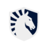 Liquid logo